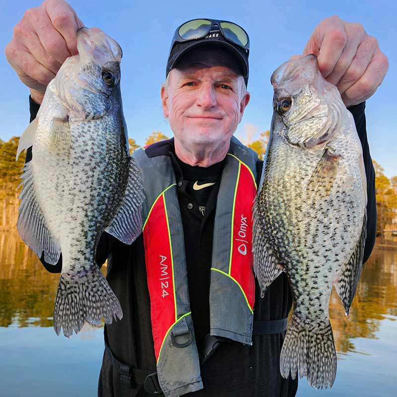 AHQ INSIDER Lake Wylie (NC/SC) 2024 Week 8 Fishing Report – Updated February 22