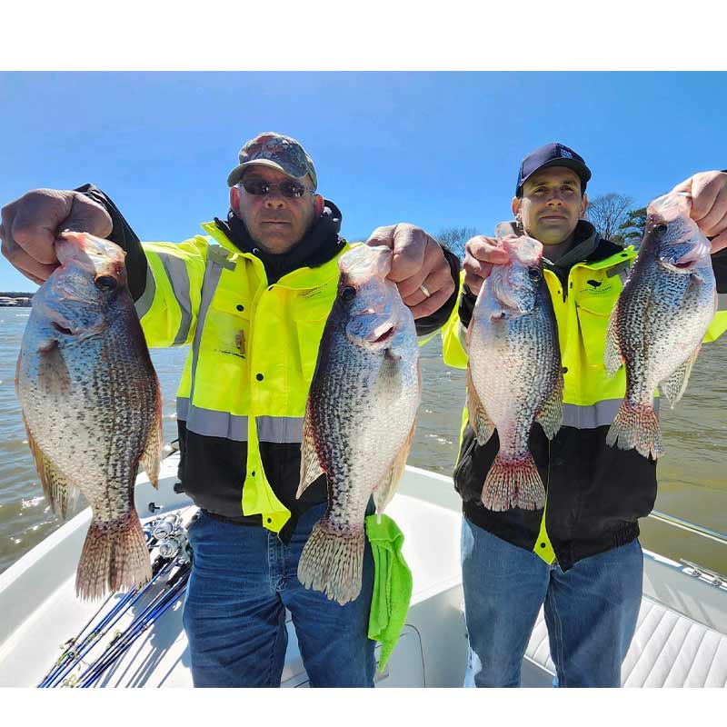 AHQ INSIDER Lake Wylie (NC/SC) 2024 Week 11 Fishing Report – Updated March 15