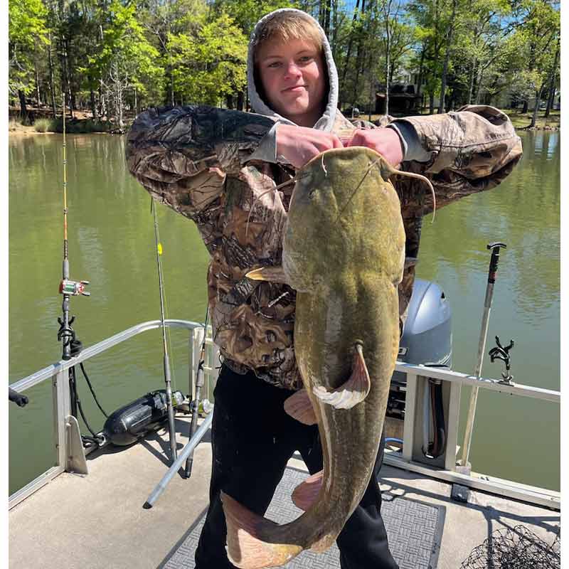 Signs of spring - a 35-pound flathead caught this week with Captain Rodger Taylor 