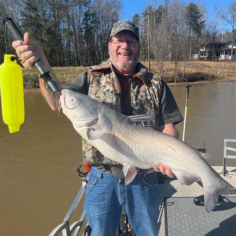 AHQ INSIDER Lake Wylie (NC/SC) 2023 Week 4 Fishing Report – Updated January 26