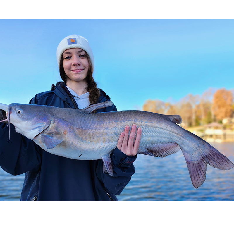 AHQ INSIDER Lake Wylie (NC/SC) 2023 Week 48 Fishing Report – Updated November 30