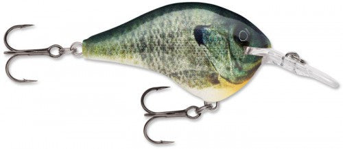 Rapala DT Series Crankbait (2") (6 ft) - Angler's Headquarters