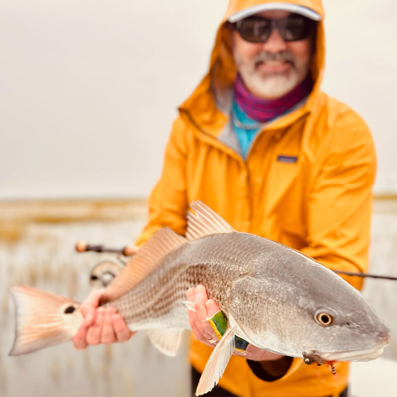 AHQ INSIDER Beaufort (SC) 2023 Week 39 Fishing Report – Updated September 29