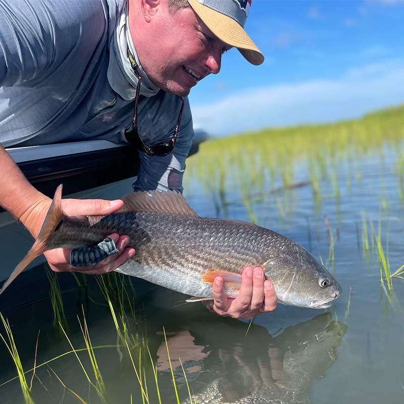 AHQ INSIDER Beaufort (SC) 2022 Week 36 Fishing Report – Updated September 8