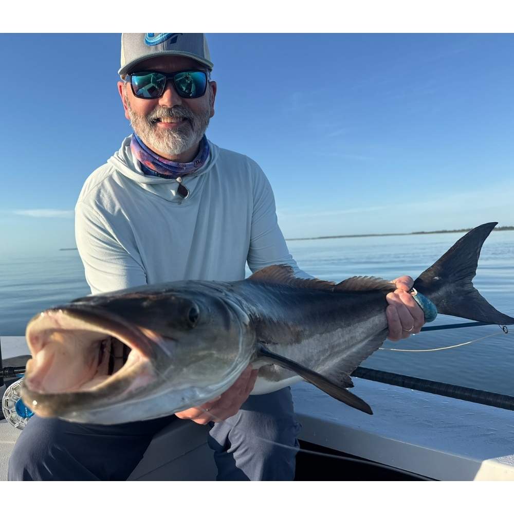 A nice cobia caught recently with Captain Tuck Scott