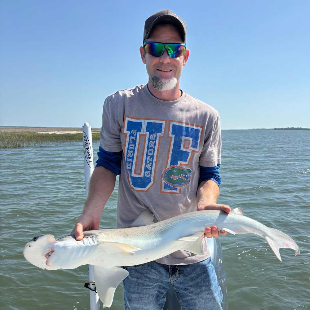 A bonnethead caught with Captain Patrick Kelly