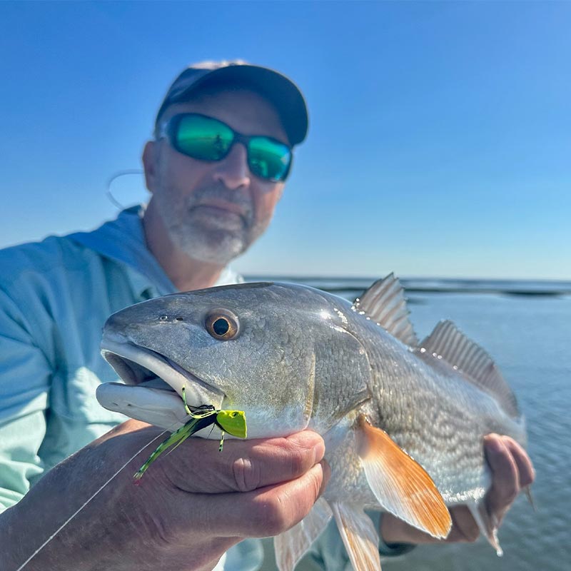 AHQ INSIDER Beaufort (SC) 2023 Week 46 Fishing Report – Updated November 16