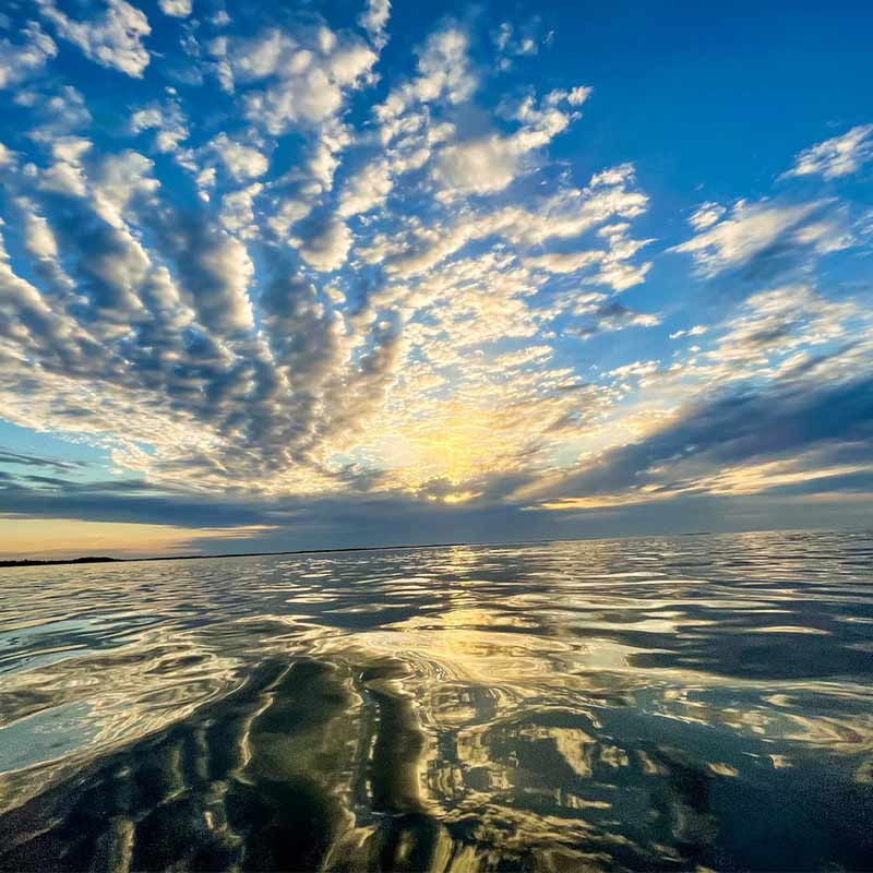 AHQ INSIDER Beaufort (SC) 2022 Week 16 Fishing Report – Updated April 21