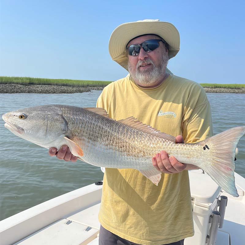 AHQ INSIDER Beaufort (SC) 2023 Week 26 Fishing Report – Updated June 29