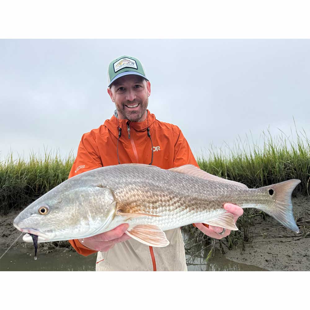 Oh - and Captain Tuck Scott's boat is also catching some fish on the low tide mud flats, too