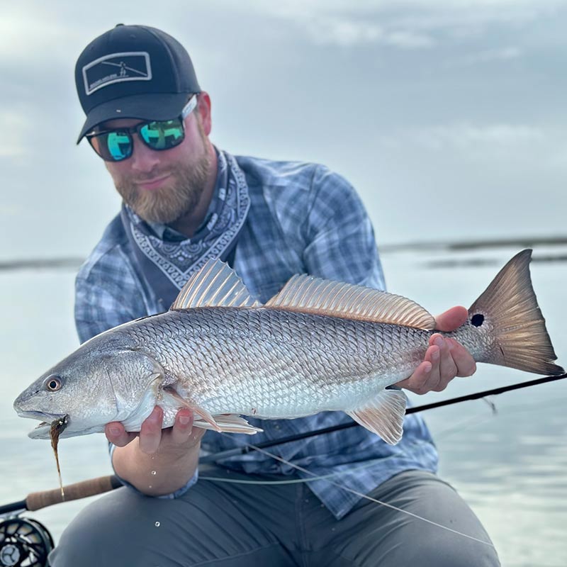 AHQ INSIDER Beaufort (SC) 2022 Week 46 Fishing Report – Updated November 18
