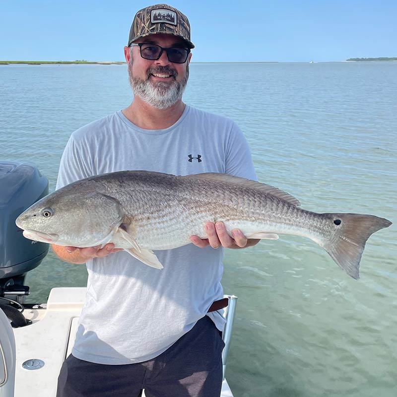 AHQ INSIDER Beaufort (SC) 2023 Week 33 Fishing Report – Updated August 18