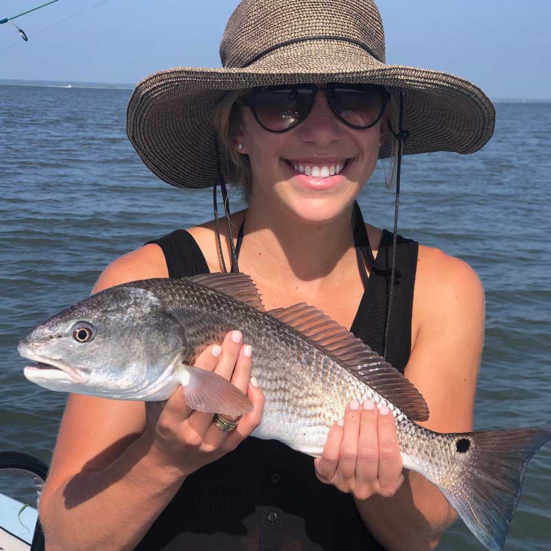 AHQ INSIDER Beaufort (SC) Summer 2020 Fishing Report – Updated August 28