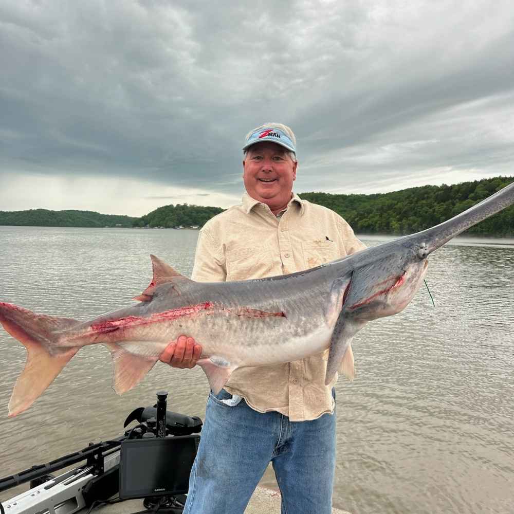 5/1 Catch of the Day - Paddlefish (Click through to see why it's so special)