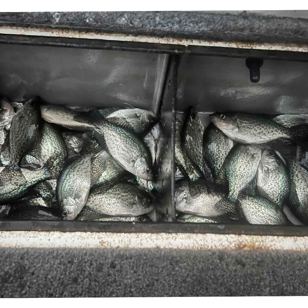 With Captain Rodney Donald 