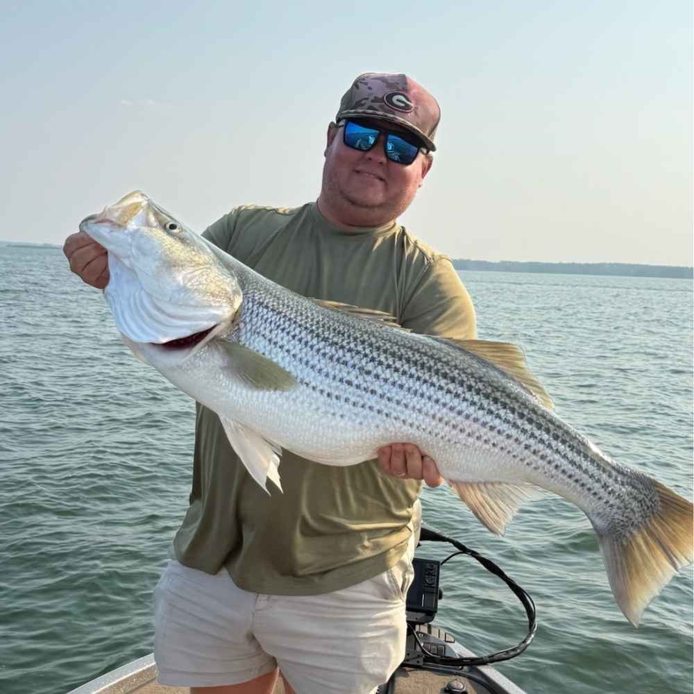 7/30 Catch of the Day - Clarks Hill Striped Bass