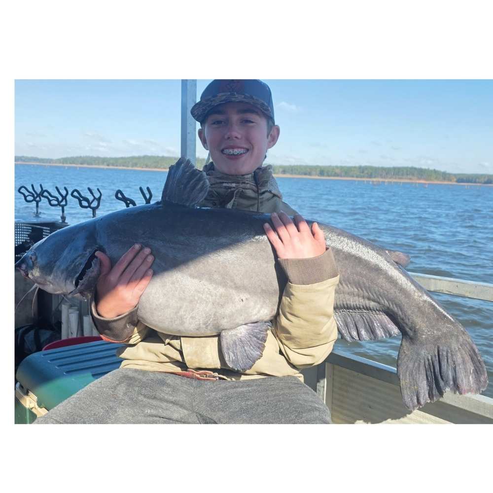 10/29 Catch of the Day - Clarks Hill Catfish (and Striper)