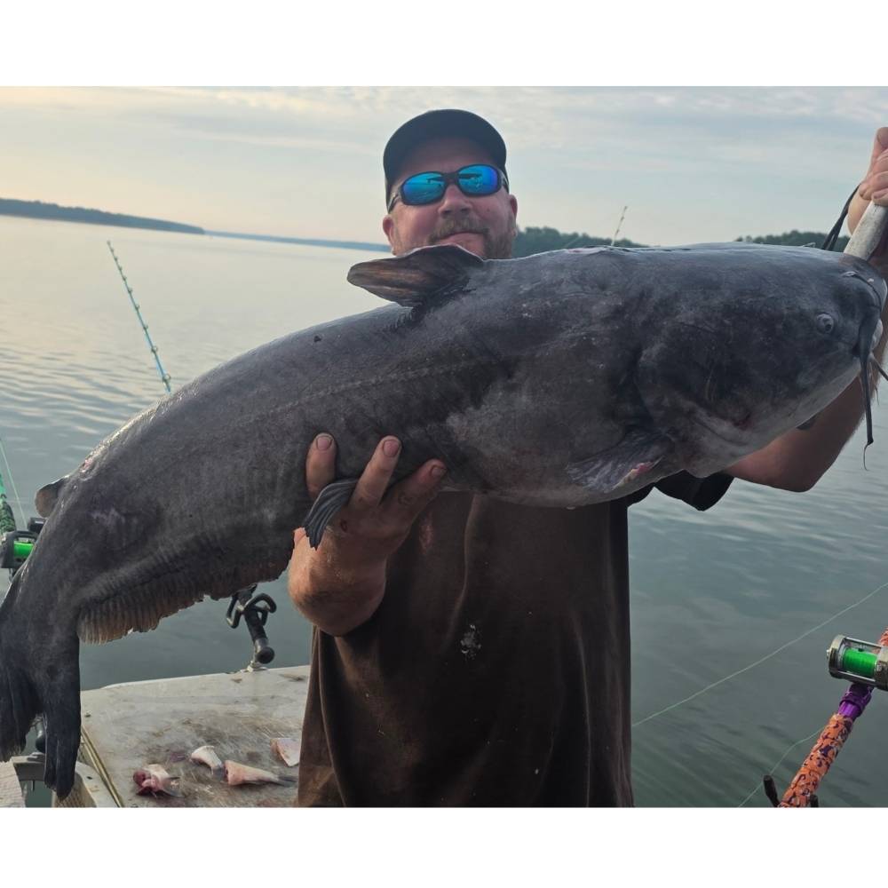 8/27 Catch of the Day - Clarks Hill Blue Catfish