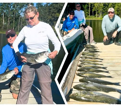 AHQ INSIDER Lake Murray (SC) 2026 Week 38 Fishing Report - Updated September 15