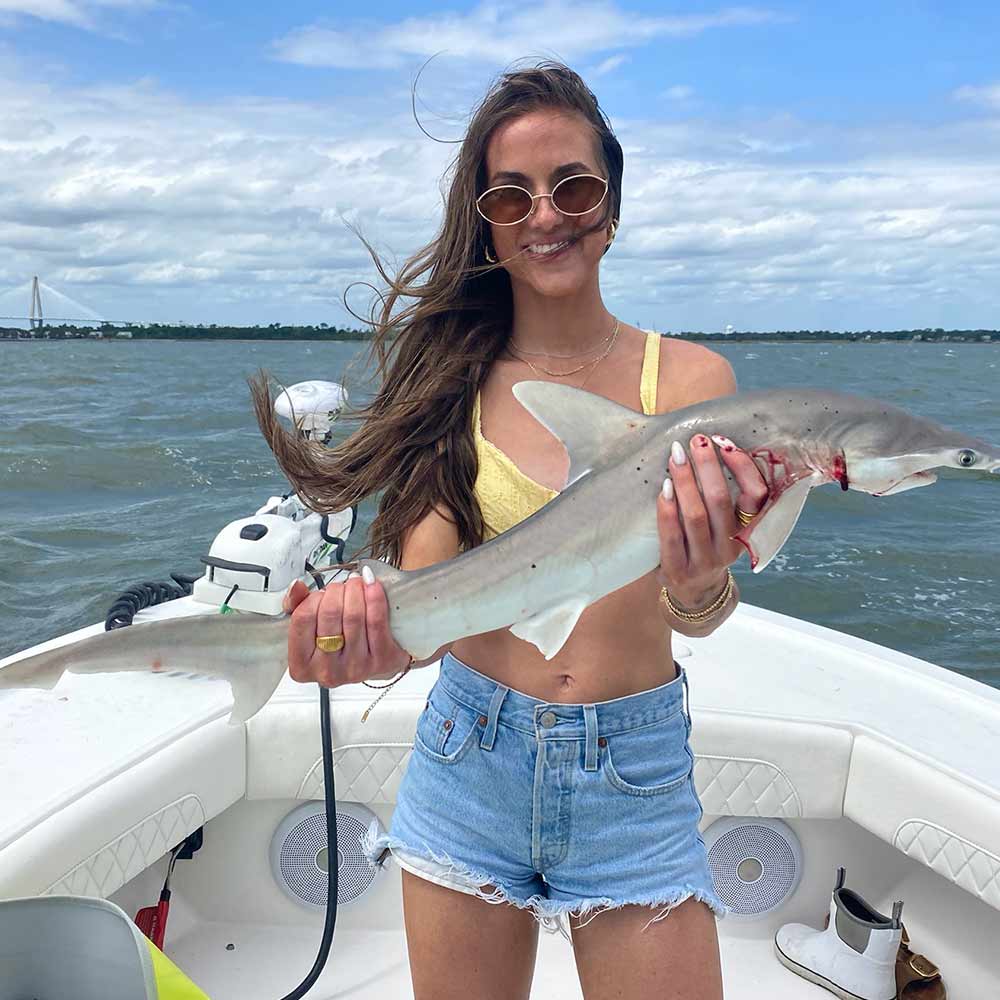 A bonnethead caught in sight of the Cooper River Bridge