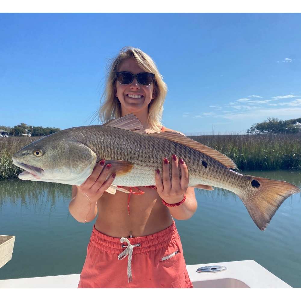 A nice redfish caught this week in beautiful weather with Captain Addison Rupert