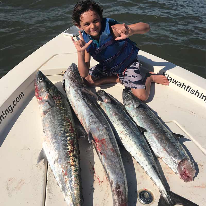AHQ INSIDER Charleston (SC) Fall 2020 Fishing Report – Updated November 11