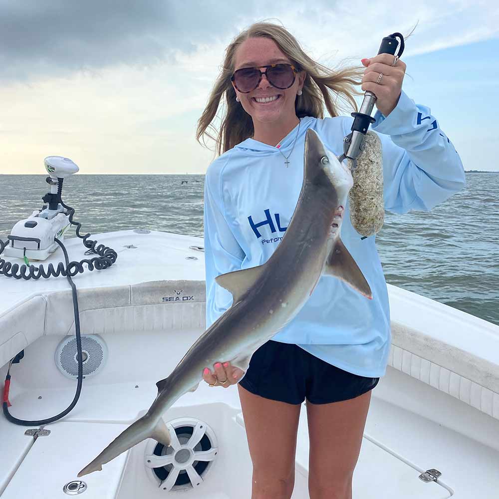 Sharks are arriving! 