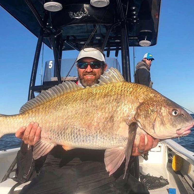 AHQ INSIDER Charleston (SC) Spring 2020 Fishing Report – Updated January 15