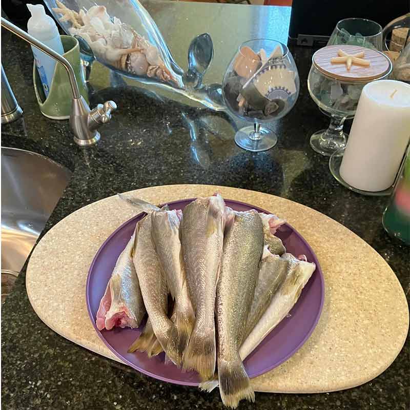 AHQ INSIDER Charleston (SC) 2023 Week 12 Fishing Report – Updated March 22