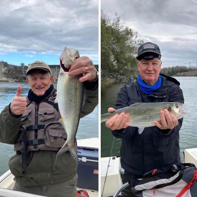 AHQ INSIDER Charleston (SC) Winter 2022 Fishing Report – Updated February 18