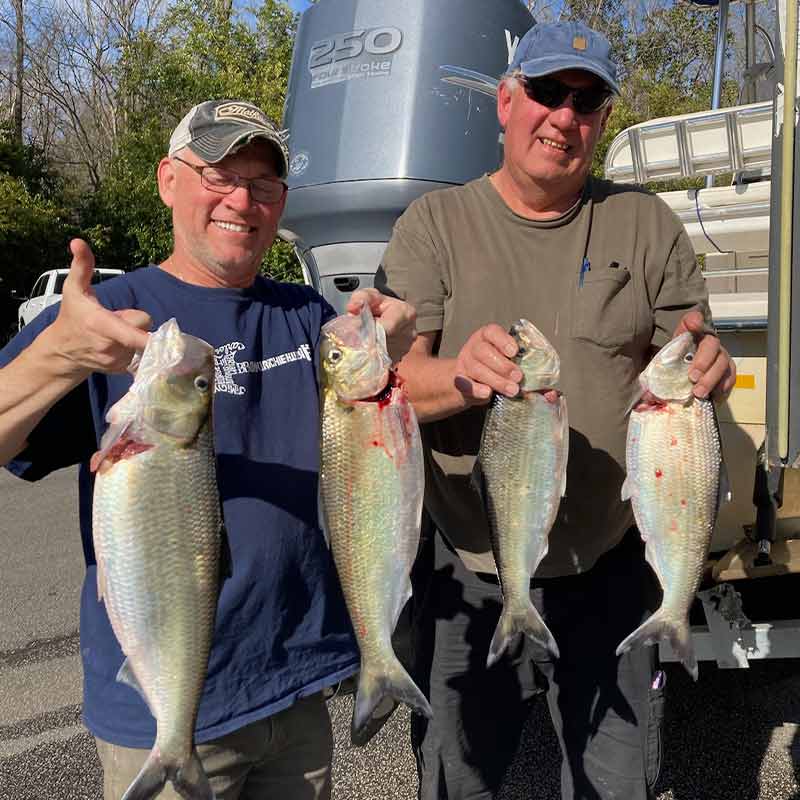 AHQ INSIDER Charleston (SC) 2023 Week 8 Fishing Report – Updated February 24