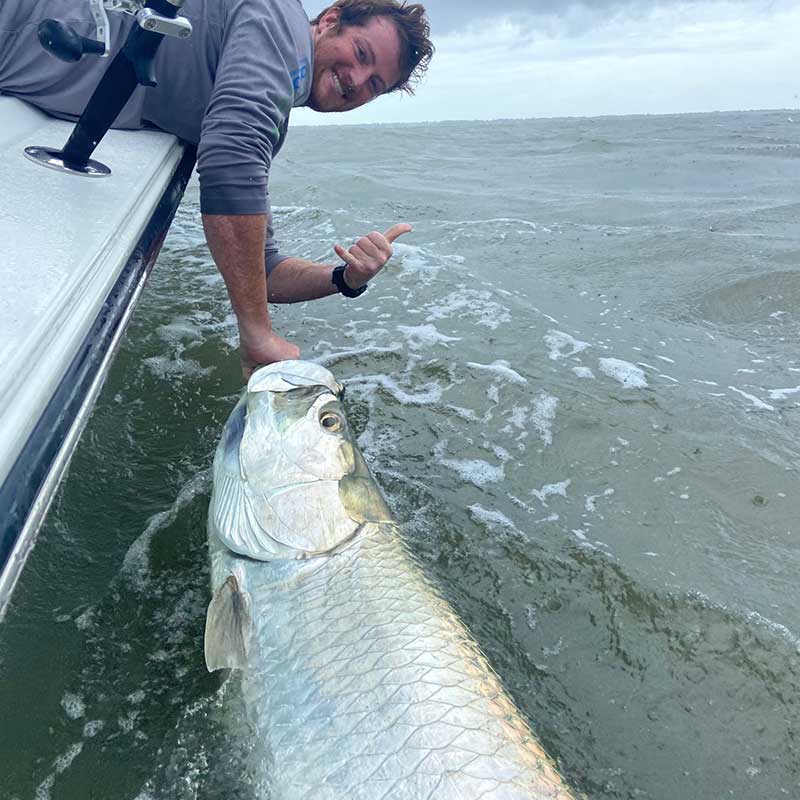AHQ INSIDER Charleston (SC) Summer 2020 Fishing Report – Updated August 25