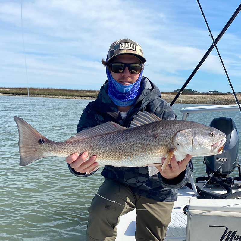 AHQ INSIDER Charleston (SC) 2024 Week 7 Fishing Report – Updated February 14