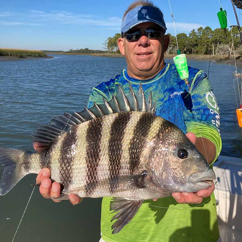 AHQ INSIDER Charleston (SC) Fall 2021 Fishing Report – Updated December 2