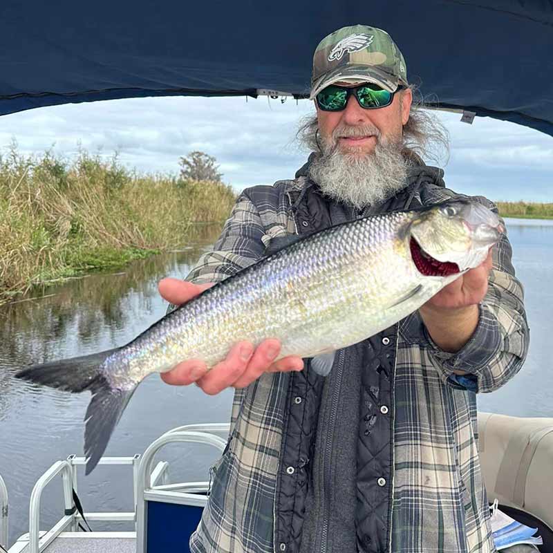 AHQ INSIDER Charleston (SC) 2024 Week 5 Fishing Report – Updated February 2