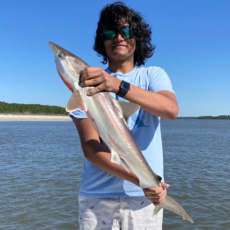 AHQ INSIDER Charleston (SC) 2023 Week 18 Fishing Report – Updated May 5