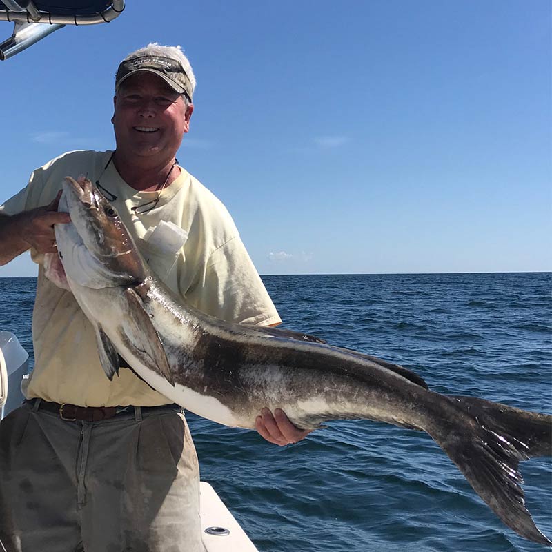 AHQ INSIDER Charleston (SC) Spring 2020 Fishing Report – Updated April 29