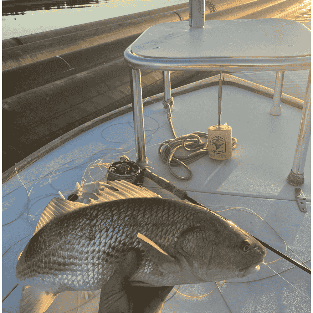 This week with Captain Addison Rupert