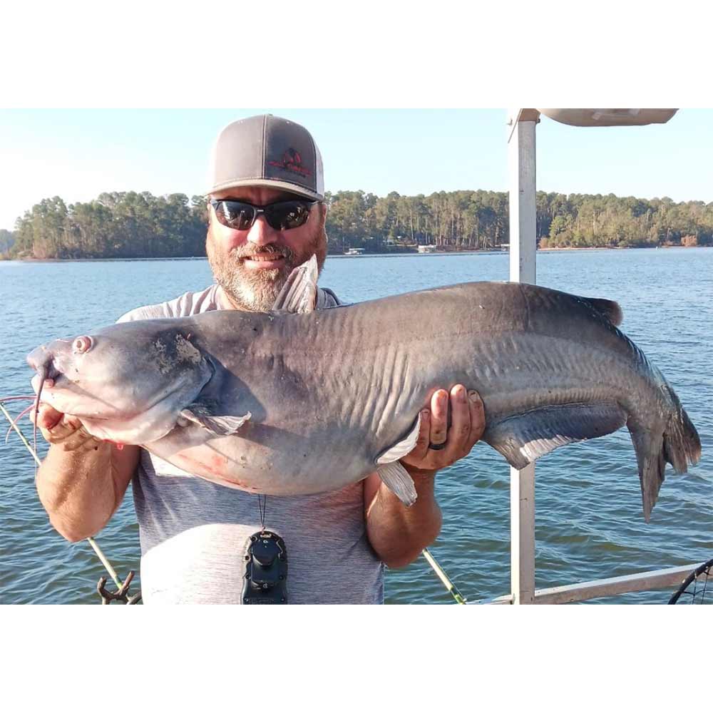 This week with Captain Chris Simpson 