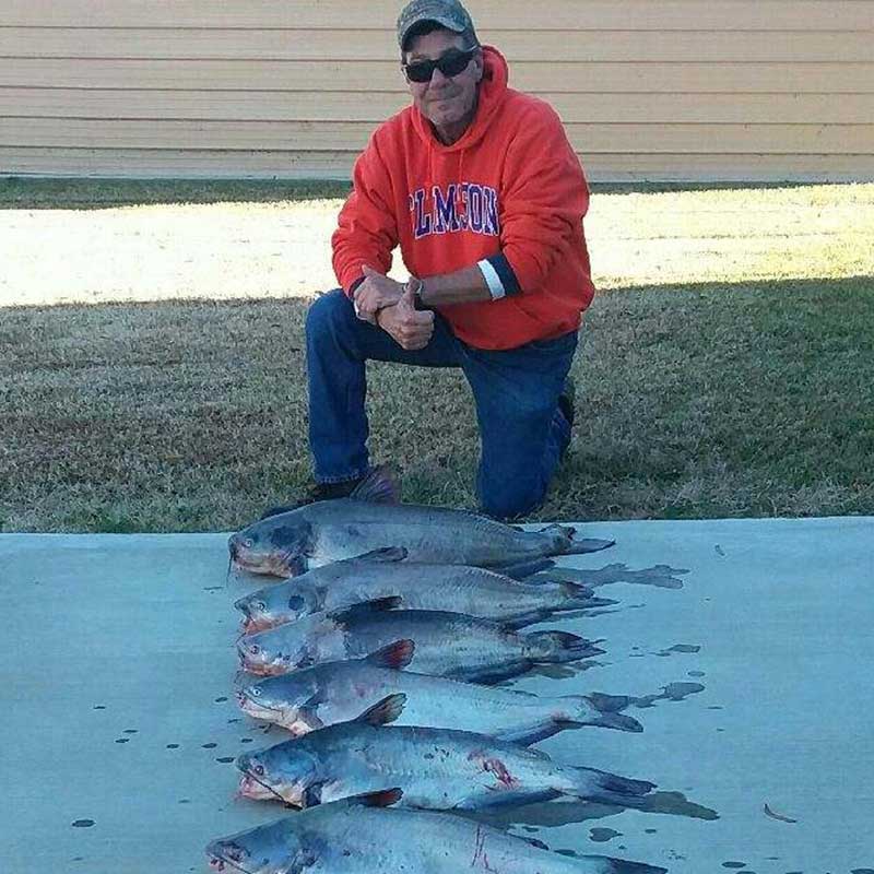 AHQ INSIDER Clarks Hill (GA/SC) Fall 2019 Fishing Report – Updated December 24