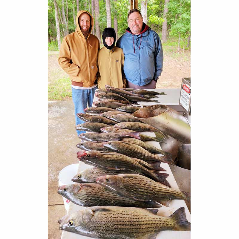 AHQ INSIDER Clarks Hill (GA/SC) 2022 Week 19 Fishing Report – Updated May 12