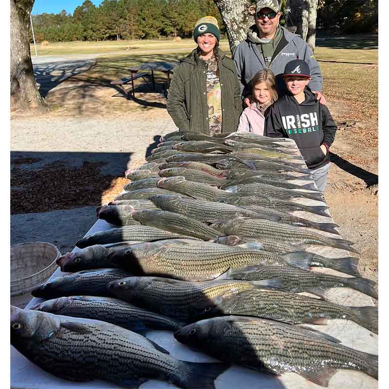 AHQ INSIDER Clarks Hill (GA/SC) Fall 2021 Fishing Report – Updated December 16