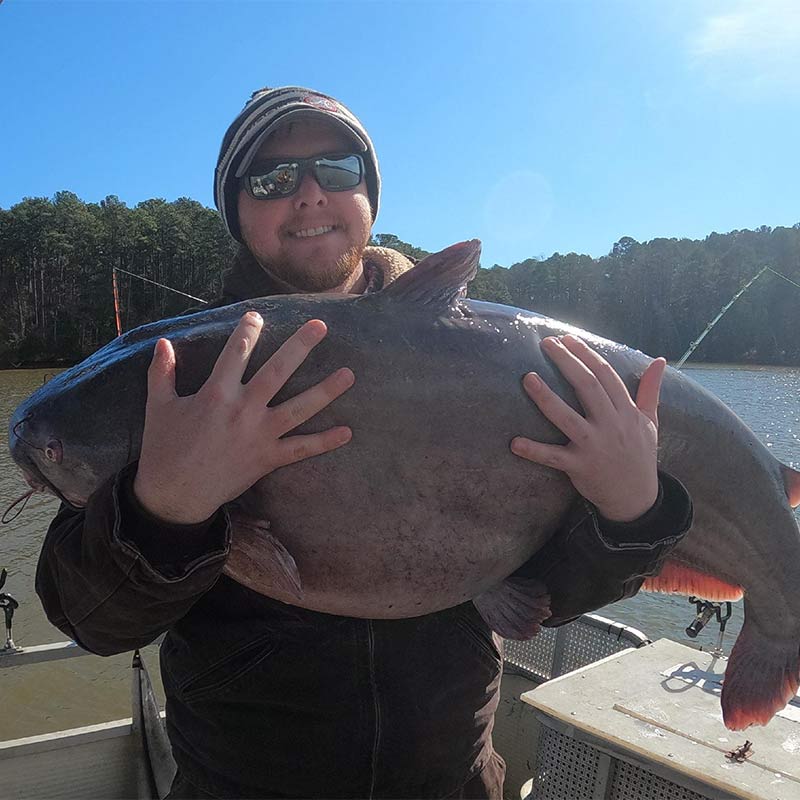 AHQ INSIDER Clarks Hill (GA/SC) Spring 2022 Fishing Report – Updated February 1