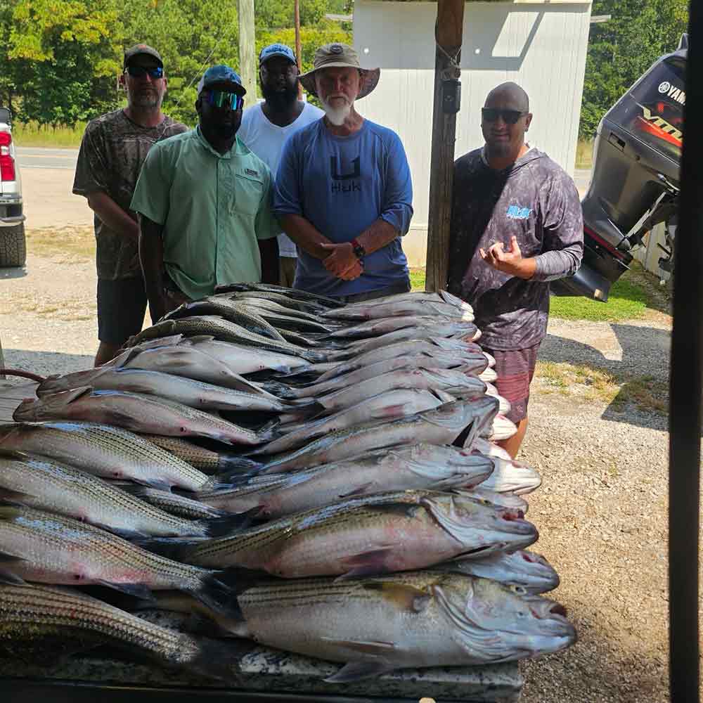 A pile of big fish caught with Captain Rocky Fulmer