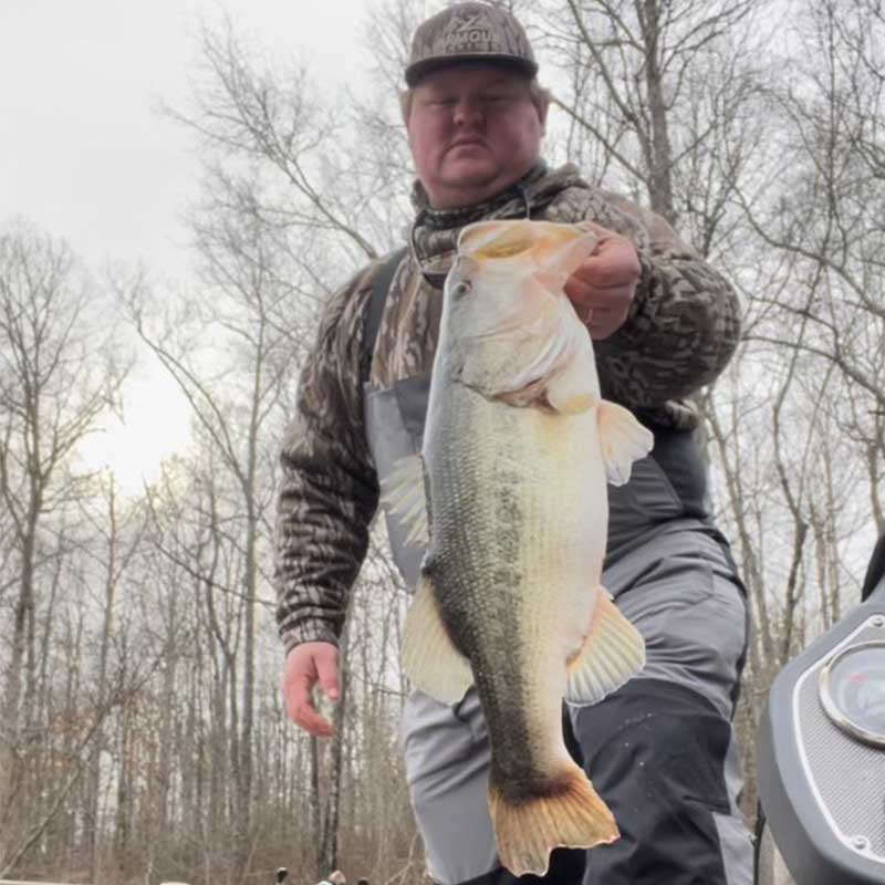 AHQ INSIDER Clarks Hill (GA/SC) 2024 Week 6 Fishing Report – Updated February 9