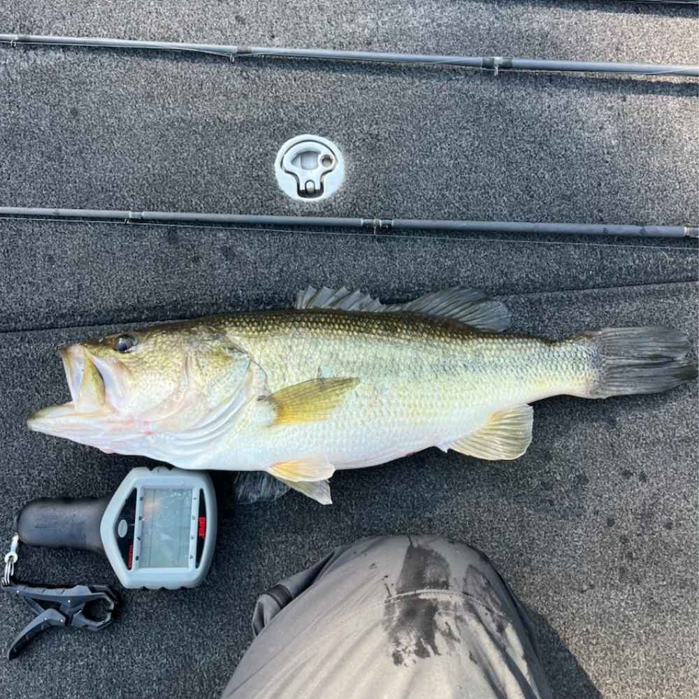A good one Guide Josh Rockefeller caught Friday