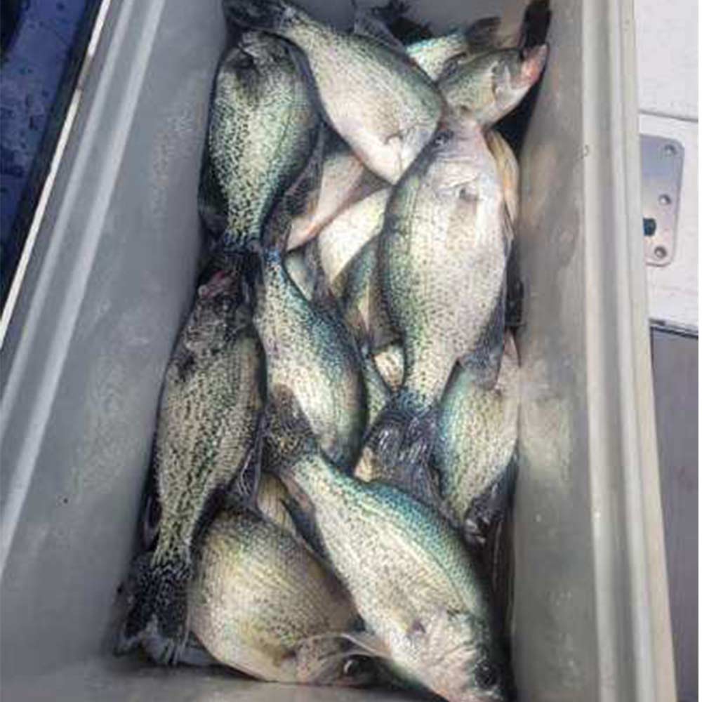 AHQ INSIDER Clarks Hill (GA/SC) 2025 Week 18 Fishing Report – Updated May 1
