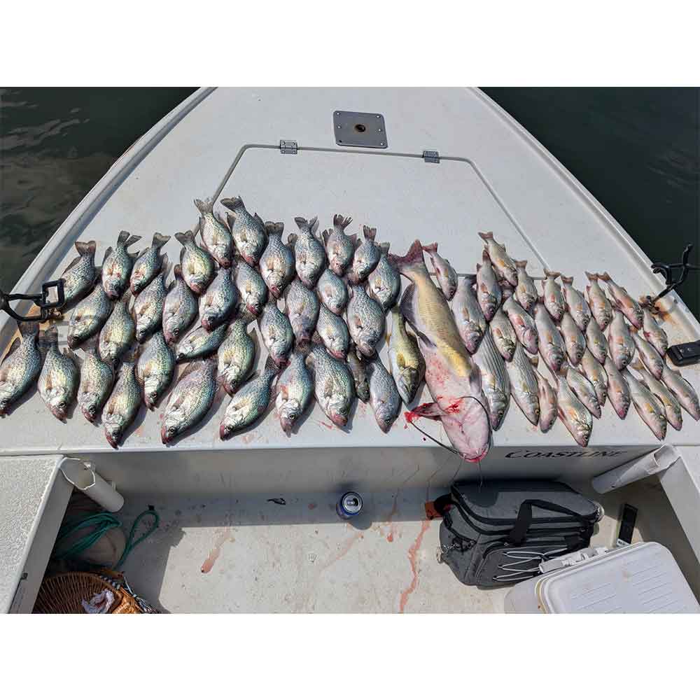 A successful outing with Wilson's Guide Service