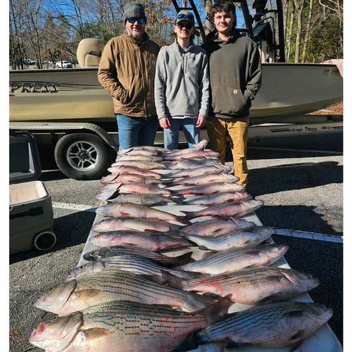 AHQ INSIDER Clarks Hill (GA/SC) 2024 Week 50 Fishing Report – Updated December 11