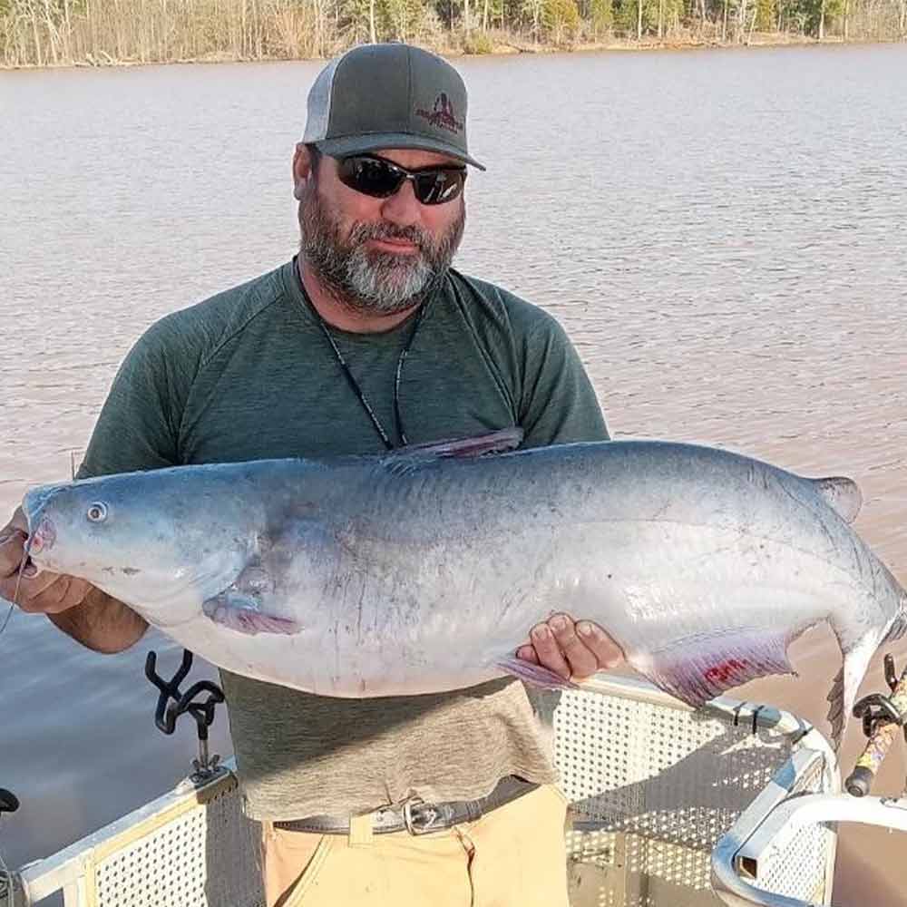 A fat blue caught this week with Captain Chris Simpson